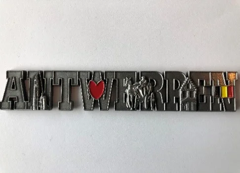  MMS 313