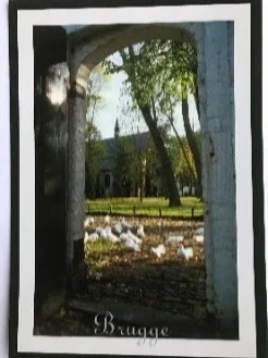 02-293